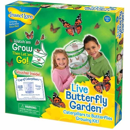 Live Butterfly Garden Kit