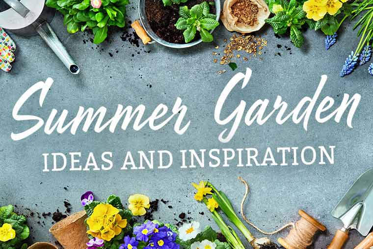 Summer Garden Ideas 